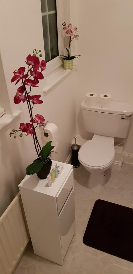 Silver Eagle Bed & Breakfast Dublin Ngoại thất bức ảnh