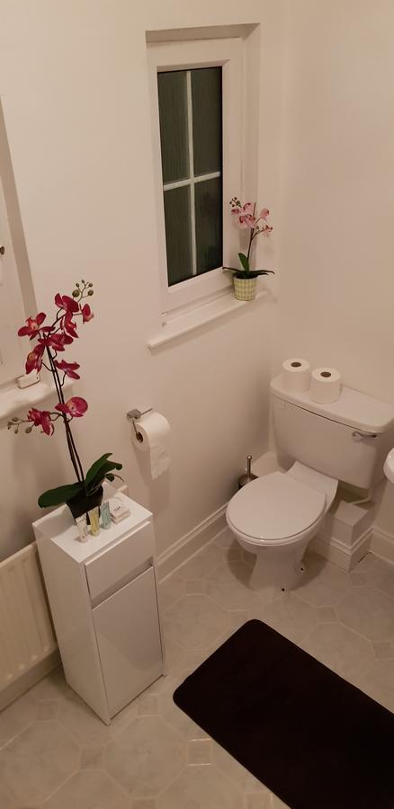 Silver Eagle Bed & Breakfast Dublin Ngoại thất bức ảnh